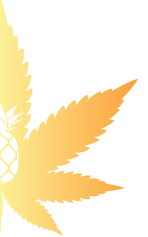 mountain-hemp-smokes-leaf-pineapple